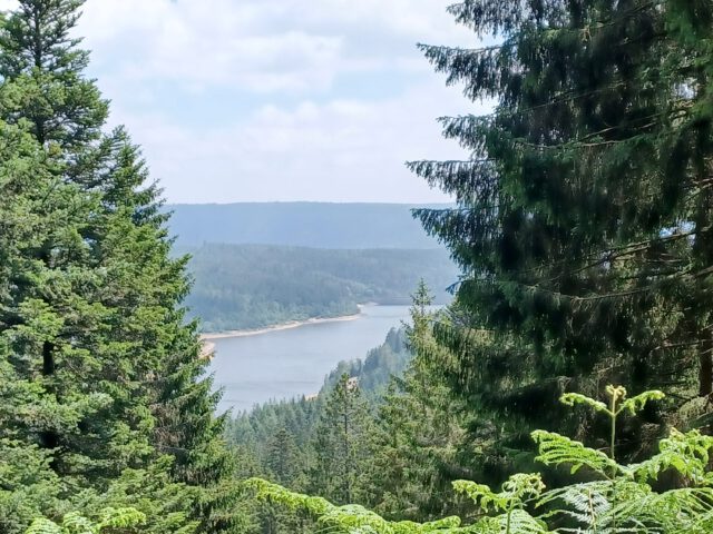 Ausblick auf die Talsperre – Badener Höhe Runde