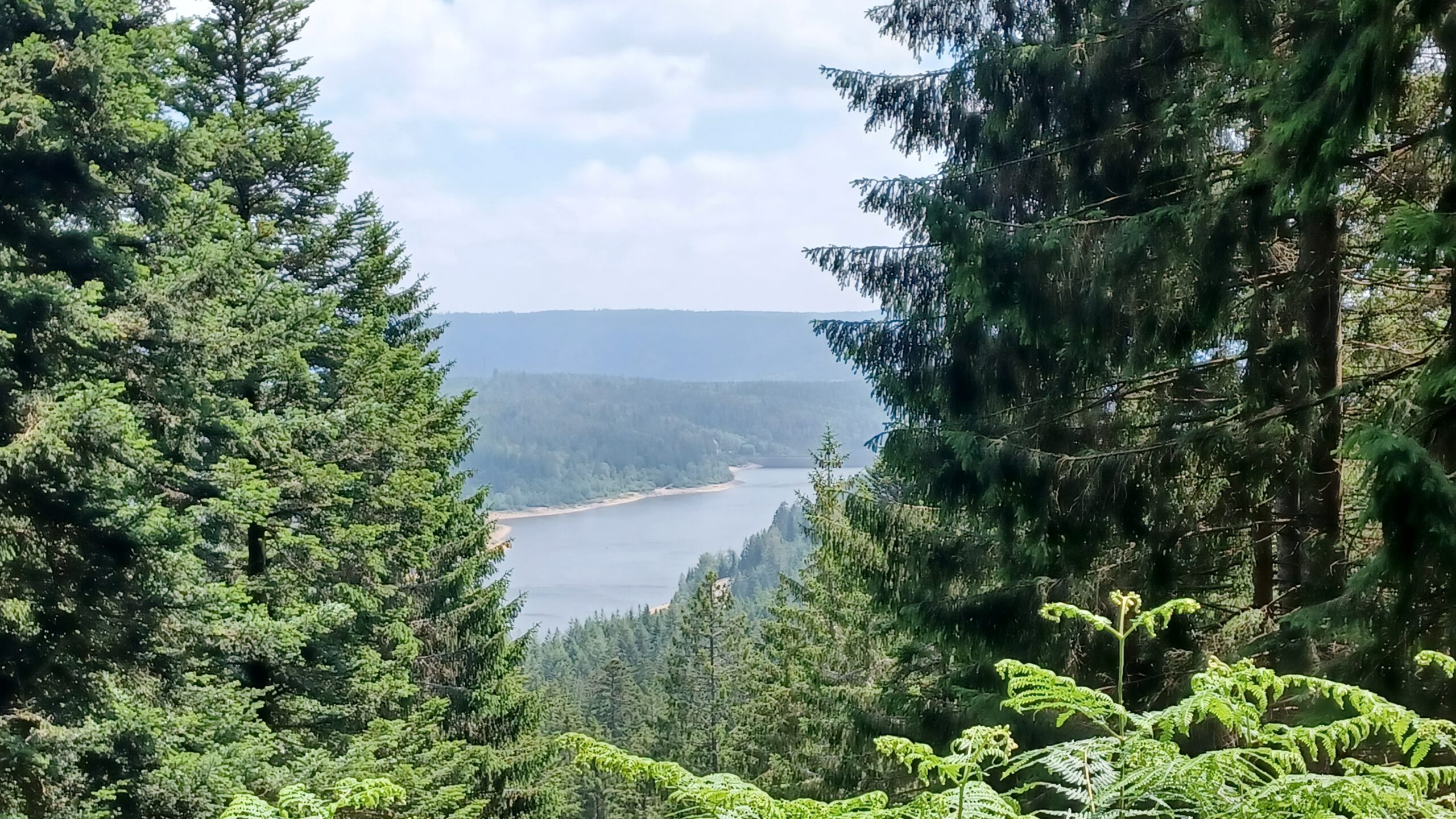 Ausblick auf die Talsperre – Badener Höhe Runde