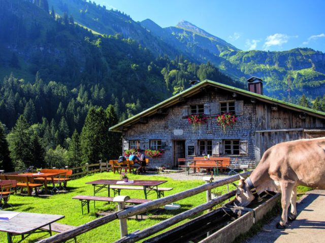 Buchrainer Alpe - Oberstdorf