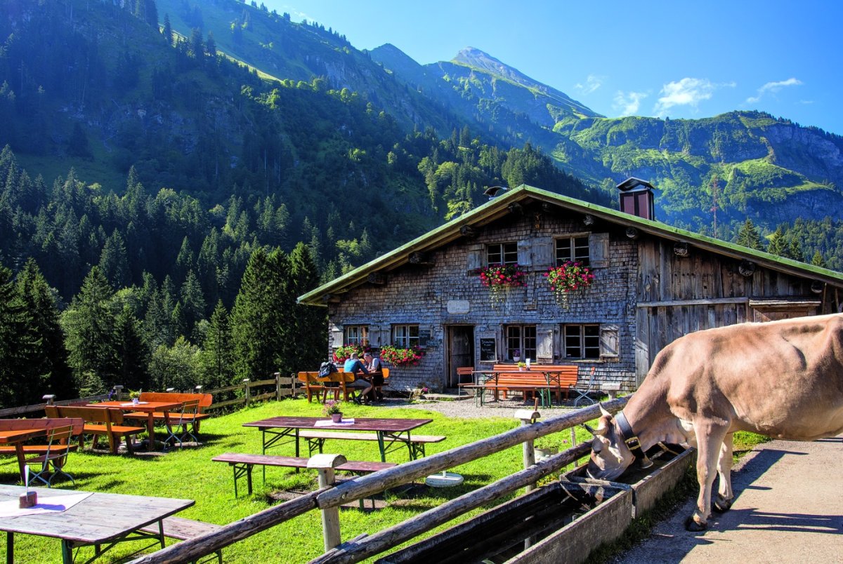 Buchrainer Alpe - Oberstdorf