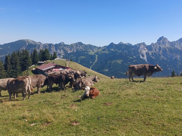 Vom Neunerköpfle über die Strindentalalpe nach Tannheim