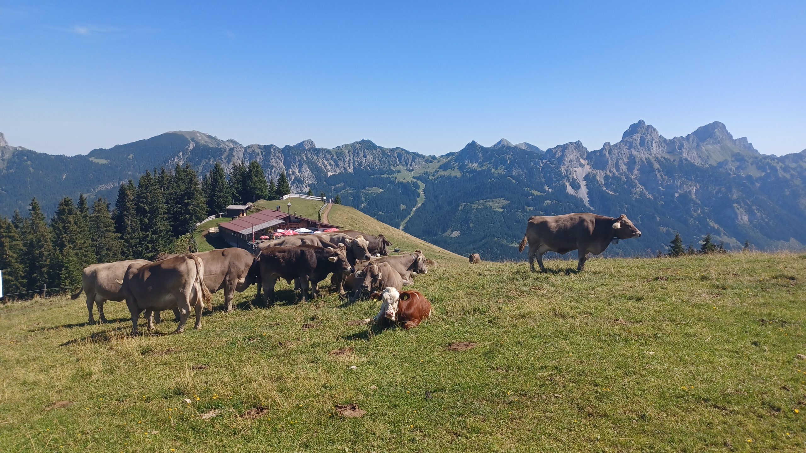 Vom Neunerköpfle über die Strindentalalpe nach Tannheim
